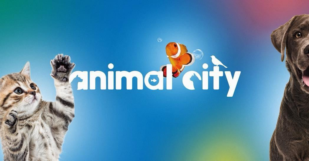 ANIMAL CITY